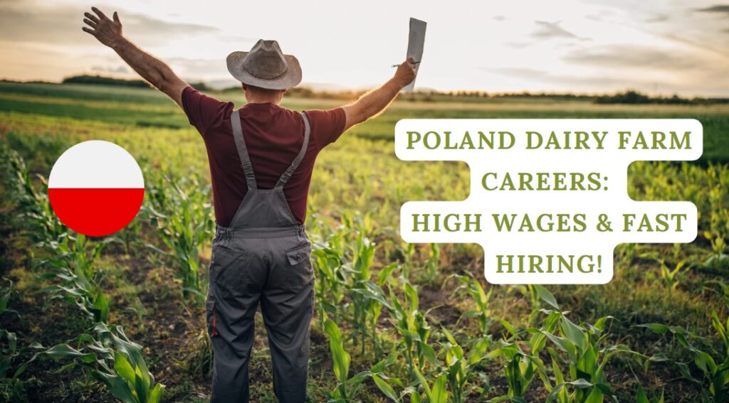 Poland Dairy Farm Careers High Wages & Fast Hiring!