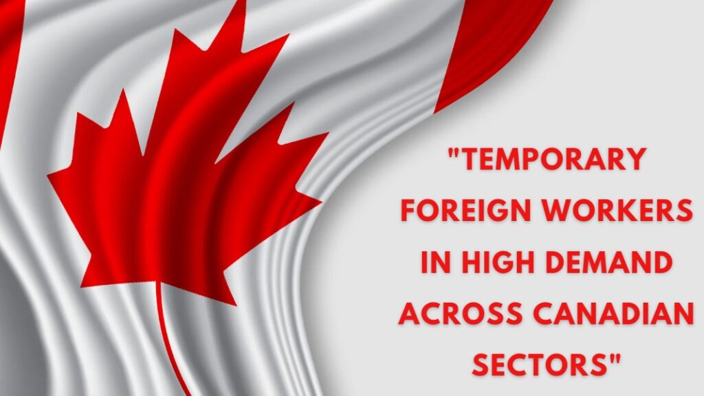 Temporary Foreign Workers in High Demand Across Canadian Sectors