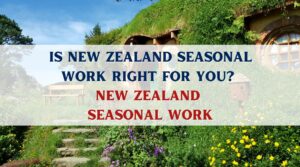 New Zealand Seasonal Work